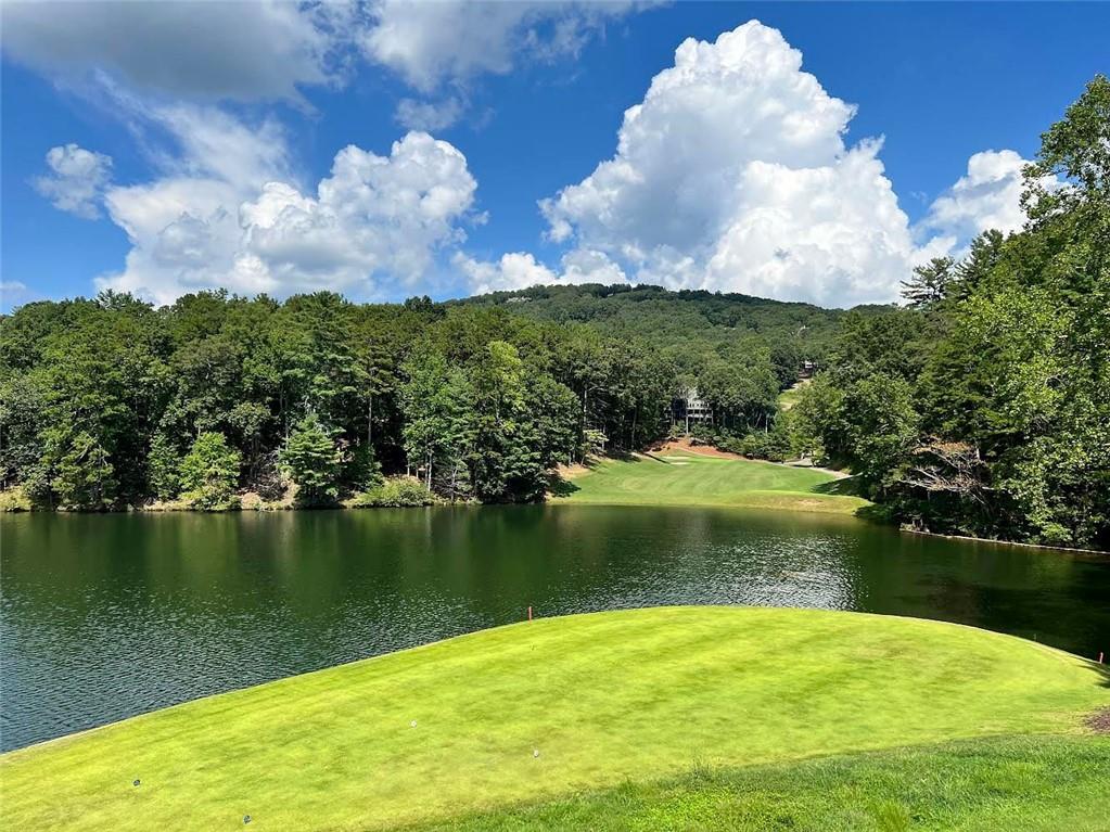 7238 Ridgeview Drive Jasper, GA 30143 - Photo 5 of 16 a view of a lake in middle of the town