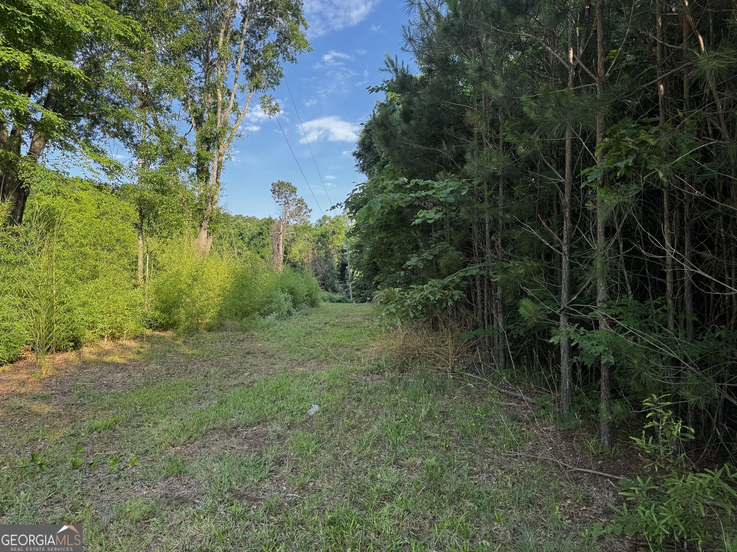 2070 Dooley Town Road Statham, GA 30666 - Photo 3 of 7 a view of a big yard with large trees