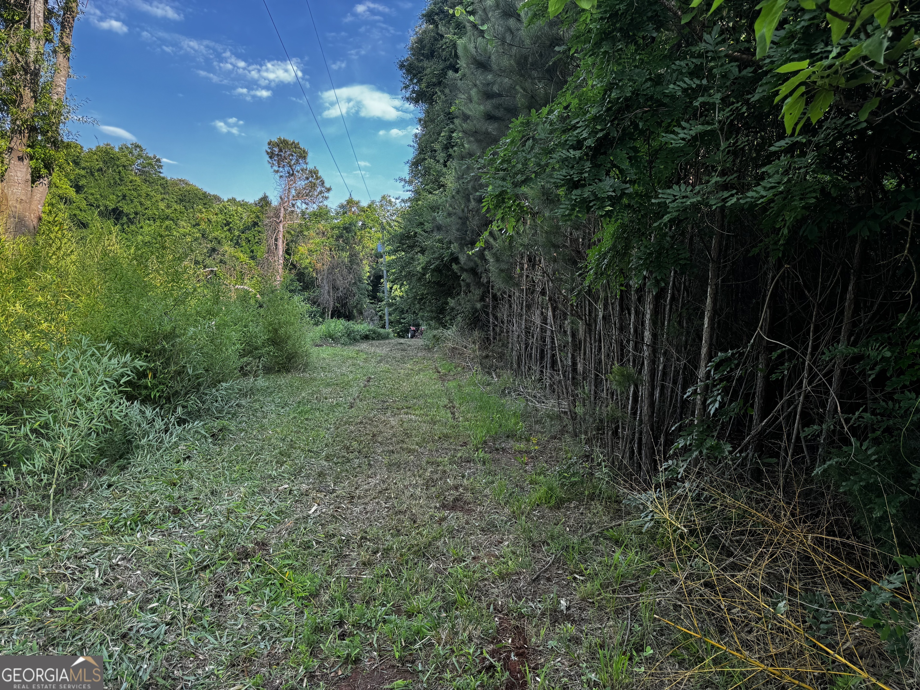 2070 Dooley Town Road Statham, GA 30666 - Photo 4 of 7 a view of a yard with large trees