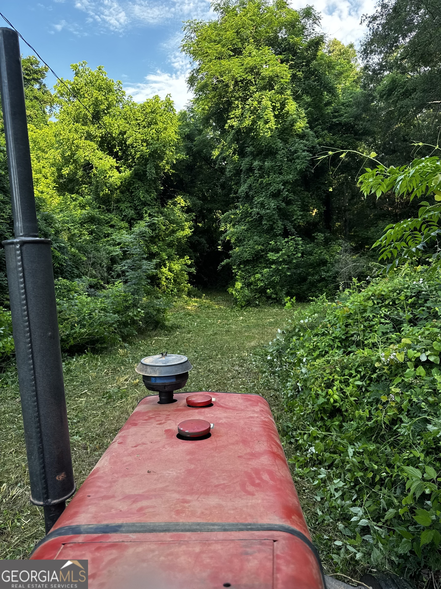 2070 Dooley Town Road Statham, GA 30666 - Photo 5 of 7 a view of a backyard with a garden