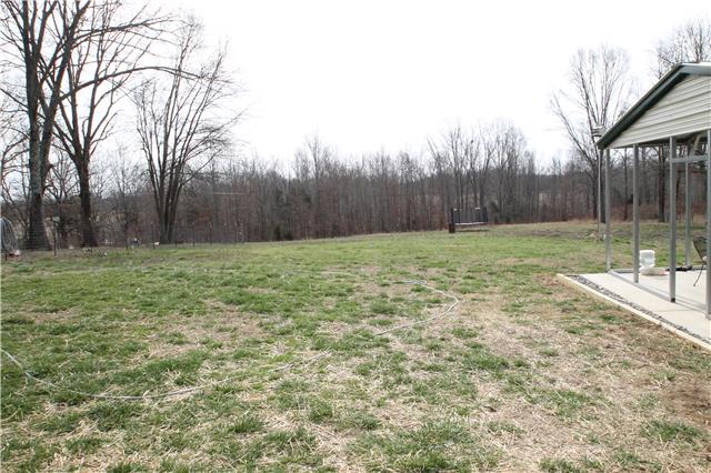 7470 Shoals Branch Road Primm Springs, TN 38476 - Photo 12 of 12 a view of a backyard