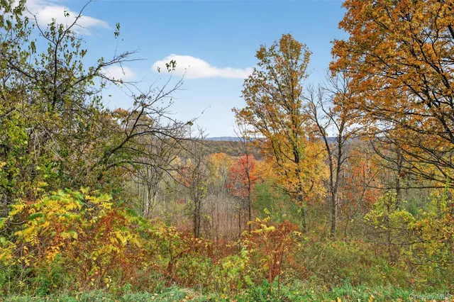a view of a big yard