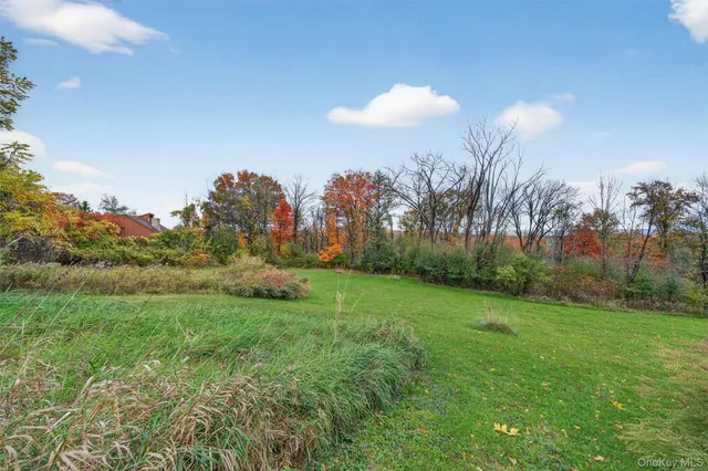 a backyard of a house with lots of green space