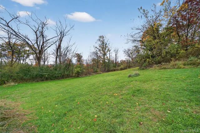 a view of a house with a yard and plants