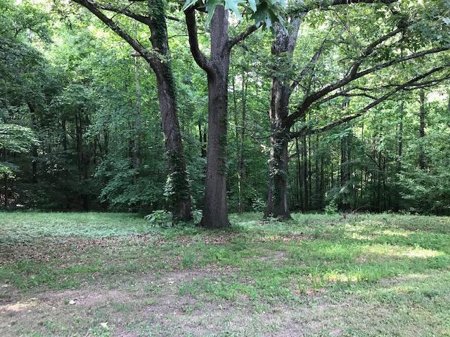 2761 Palmyra Road Palmyra, TN 37142 - Photo 22 of 23 Gallery Image 22