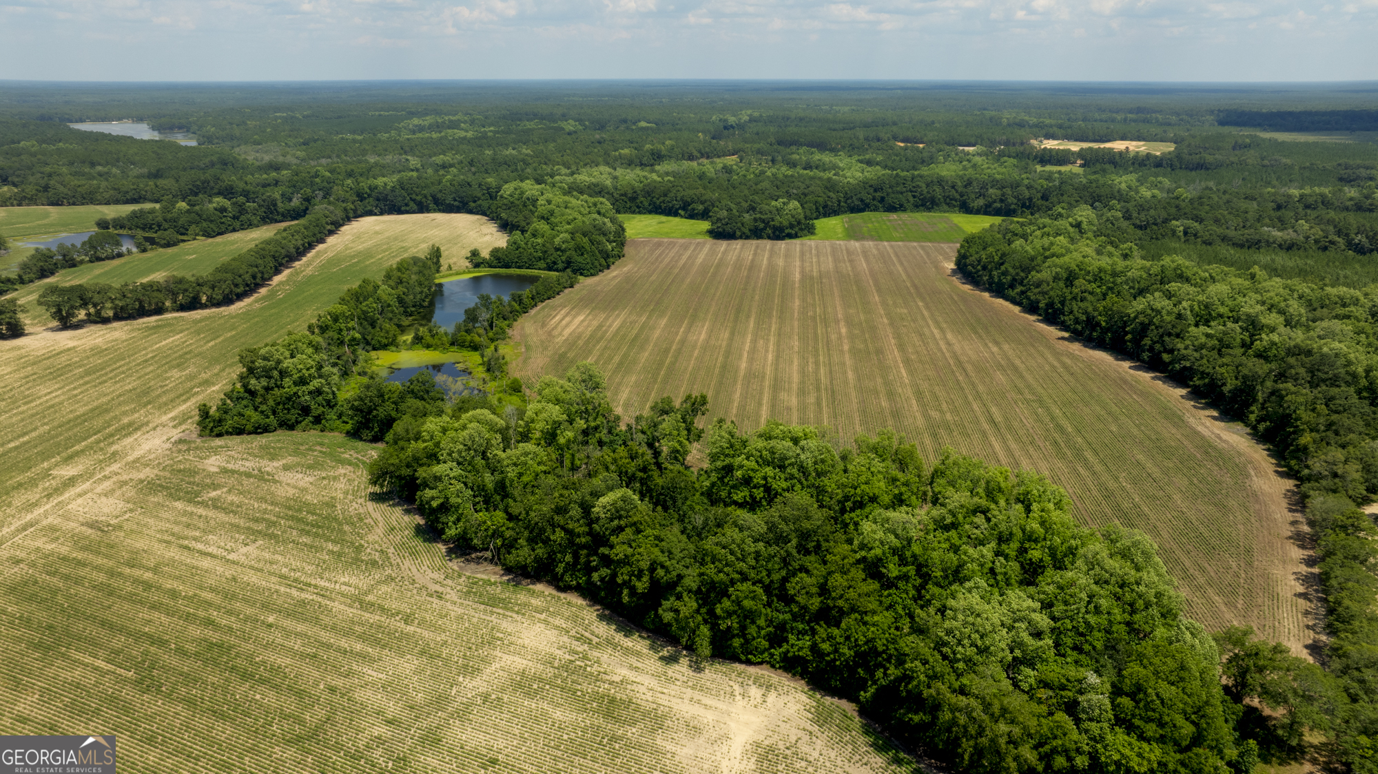 0 Sunbury Road Claxton, GA 30417 - Photo 35 of 36 Gallery Image 35