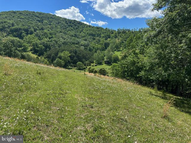 1096 Co Rte 10/2 Franklin, WV 26807 - Photo 19 of 23