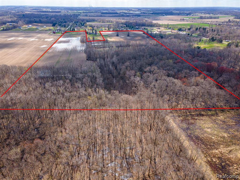 4 Carleton Rockwood Road Carleton, MI 48117 - Photo 12 of 31