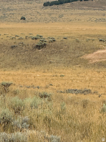 25 Old Dam Road, Unit 25 Levan, UT 84639 - Photo 9 of 10