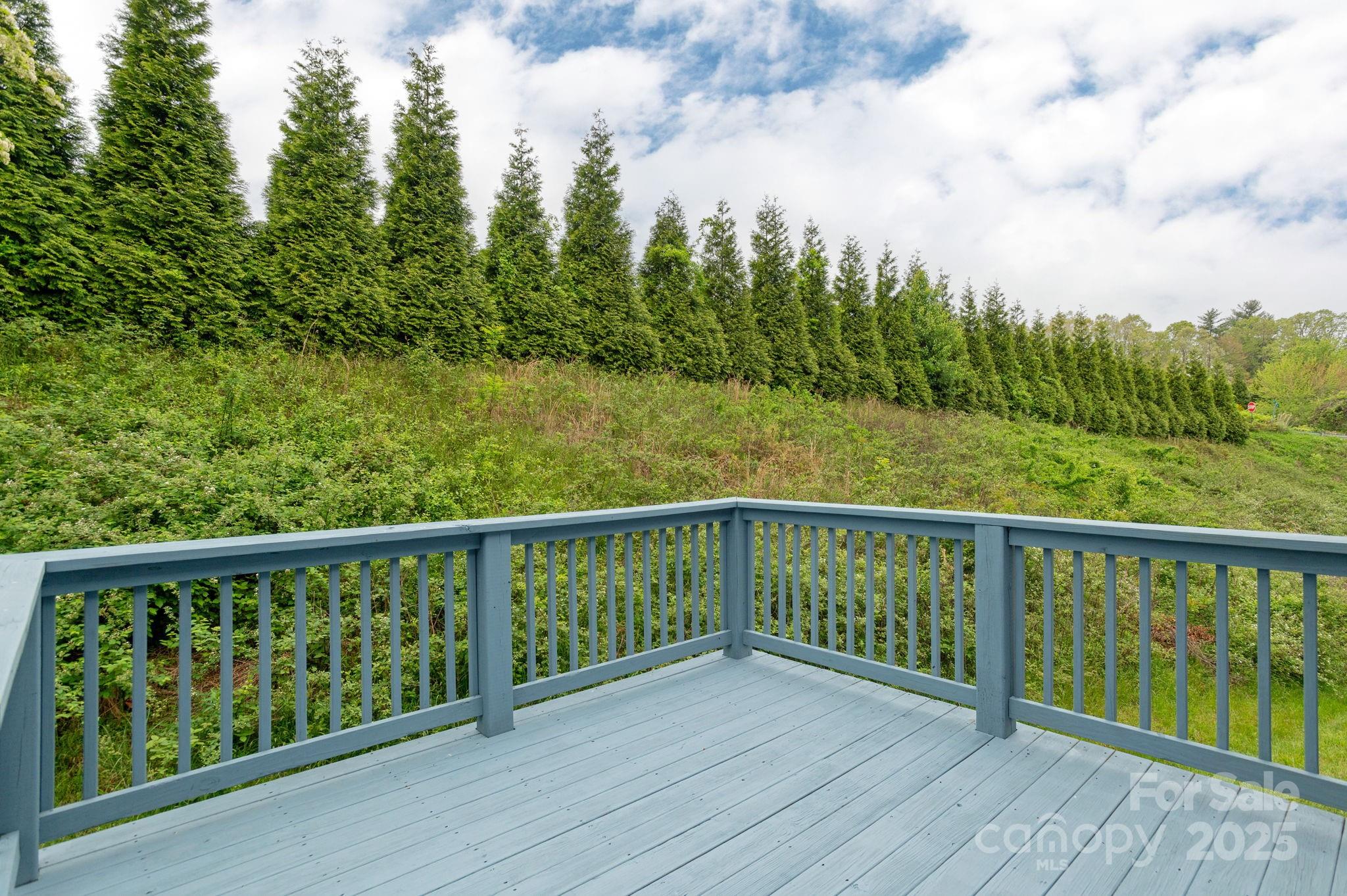 76 Tryon View Drive Flat Rock, NC 28731 - Photo 27 of 30 a view of a balcony with wooden floor and fence