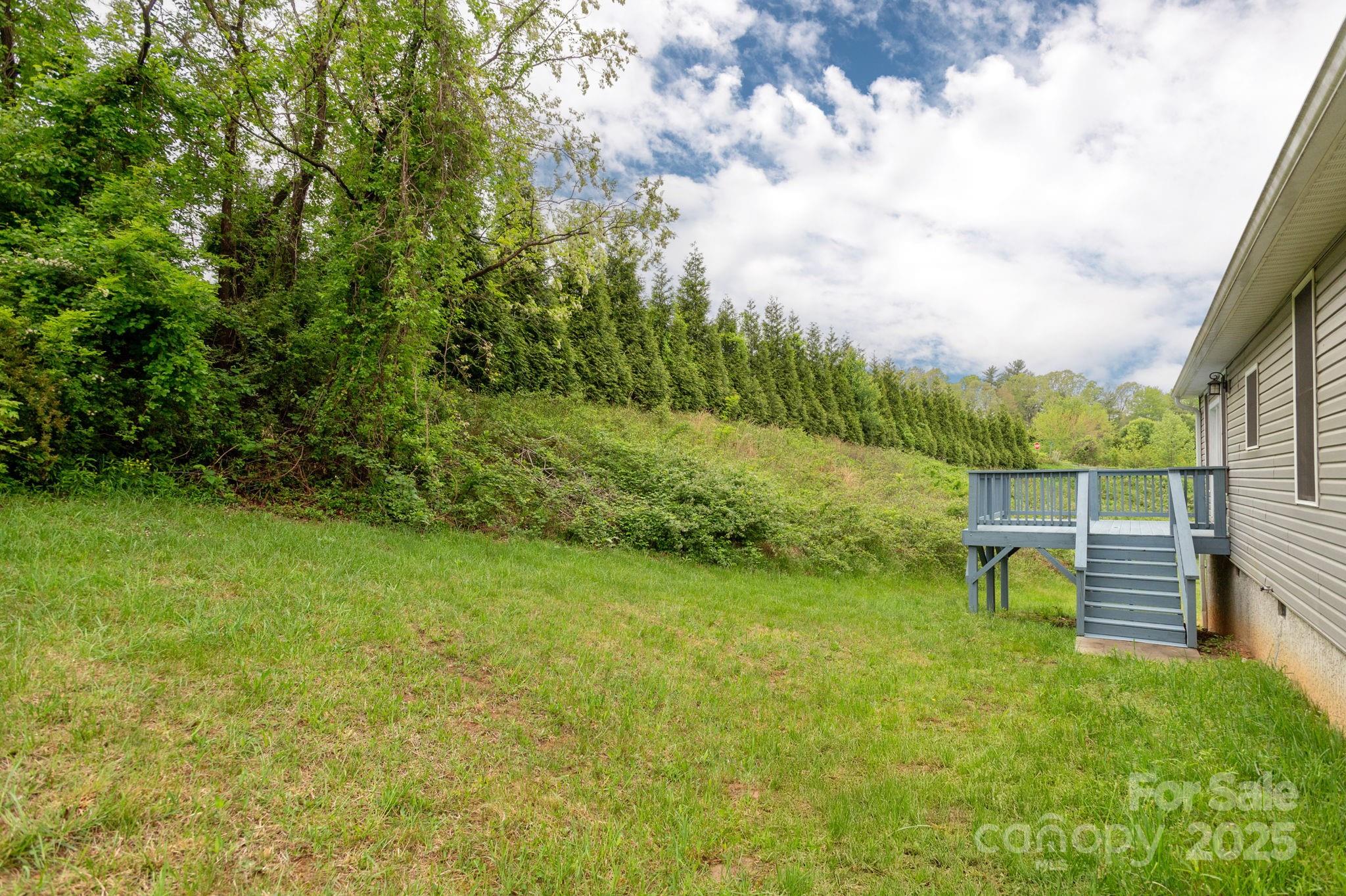76 Tryon View Drive Flat Rock, NC 28731 - Photo 29 of 30 a view of a garden