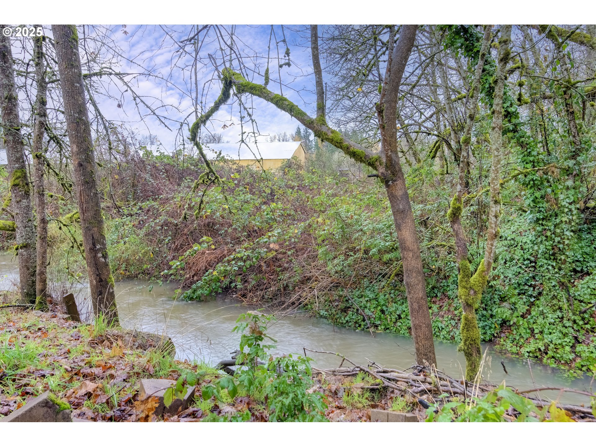 33654 South Dickey Prairie Road Molalla, OR 97038 - Photo 41 of 48