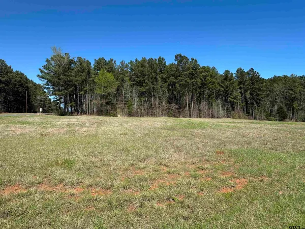 $101,000 | 343 Cherokee Cove Drive, Jacksonville, TX 75766