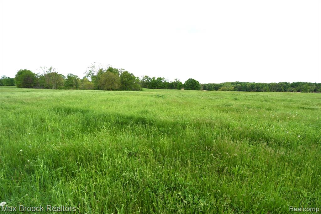 58282 Savage Road Vandalia, MI 49095 - Photo 51 of 70
