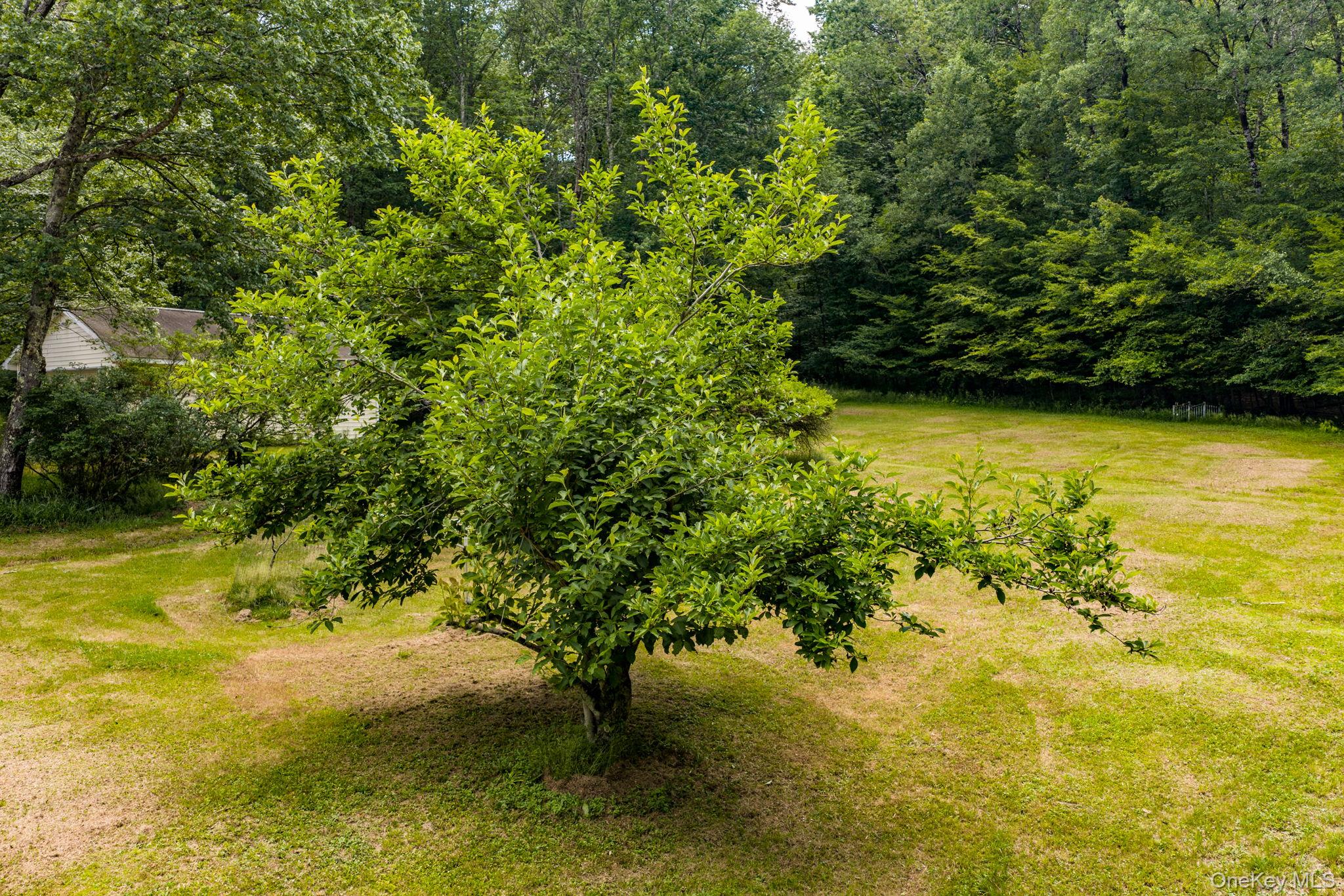 10 Hoffman Road Hankins, NY 12741 - Photo 31 of 46