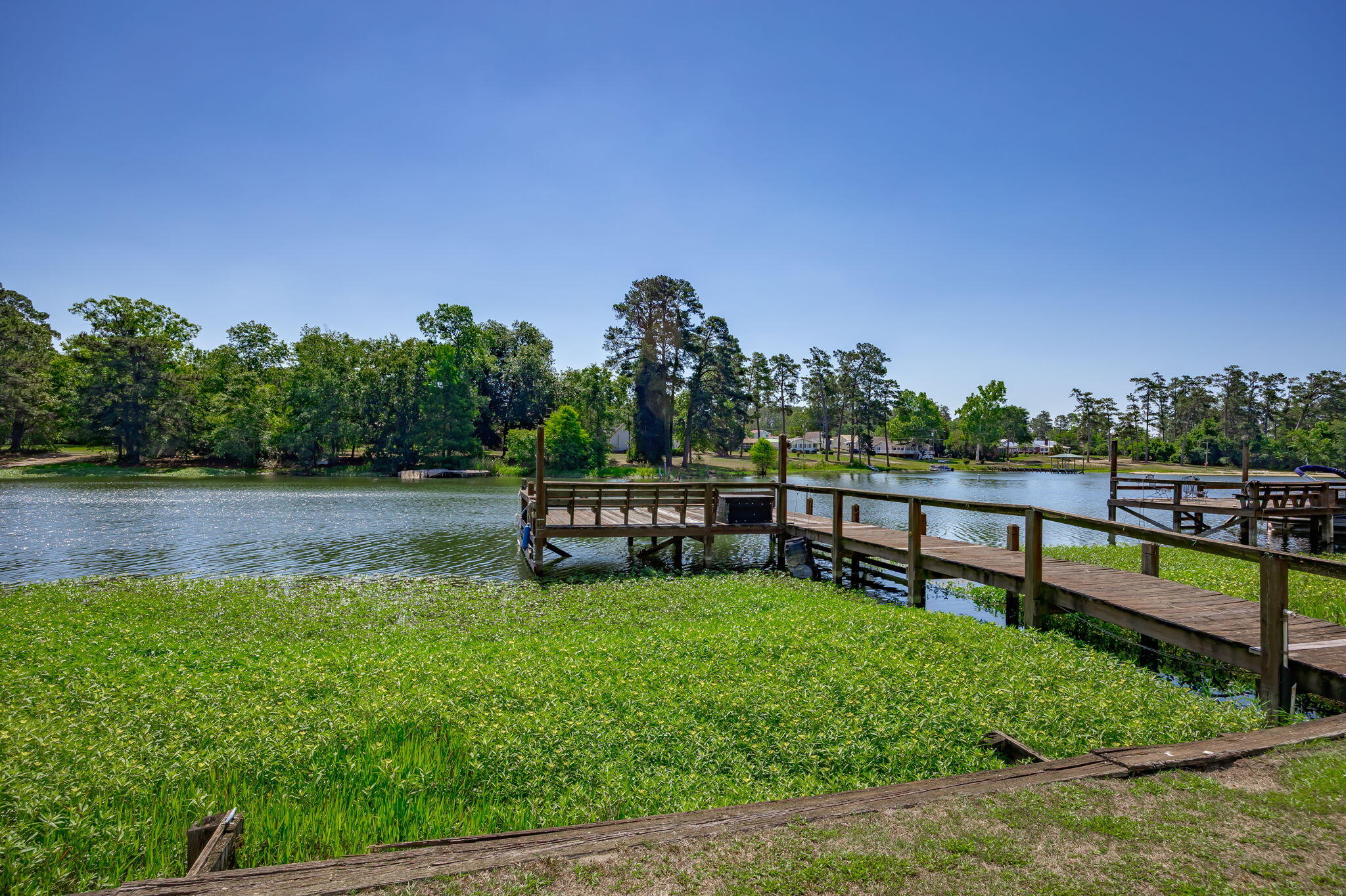 1136 Lemon Avenue Manning, SC 29102 - Photo 82 of 97