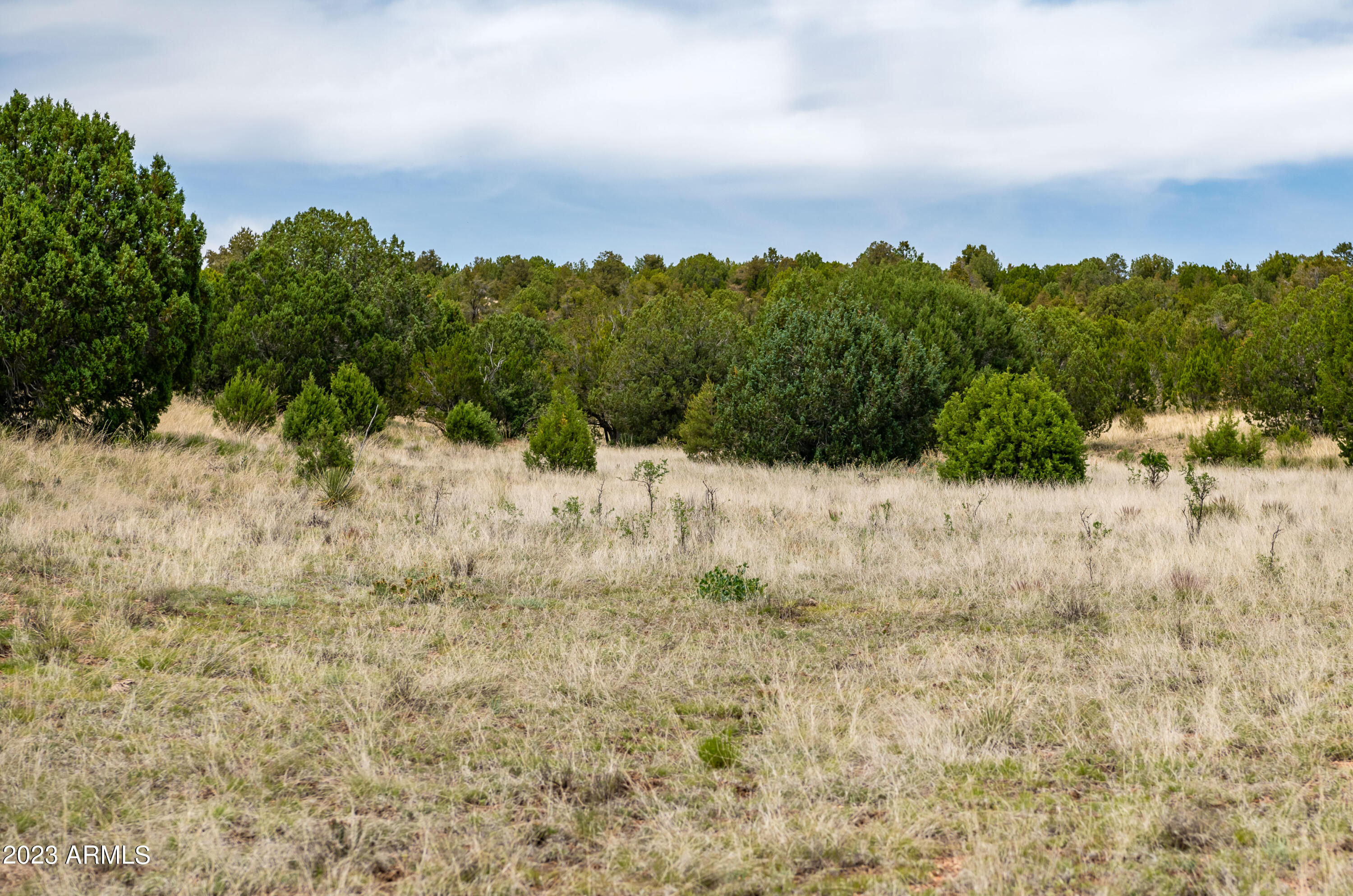 A Pine Ridge Trail, Unit 50 Seligman, AZ 86337 - Photo 8 of 20
