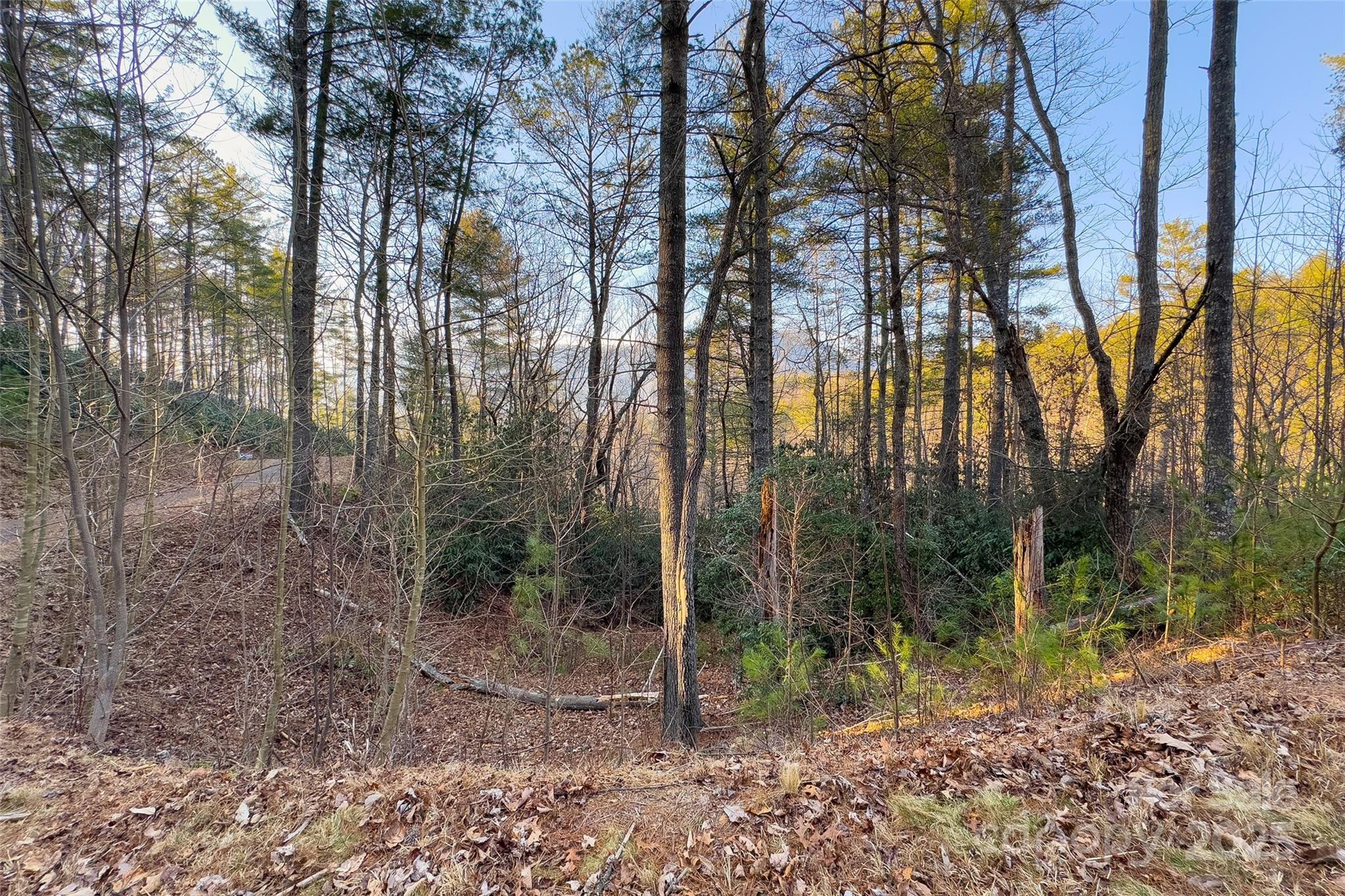 Lot #84 Little Fox Run Marion, NC 28752 - Photo 13 of 24 a view of a forest