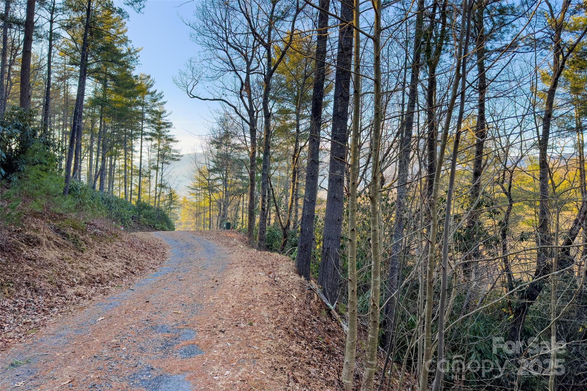 Lot #84 Little Fox Run Marion, NC 28752 - Photo 14 of 24 a view of a yard with plants and trees