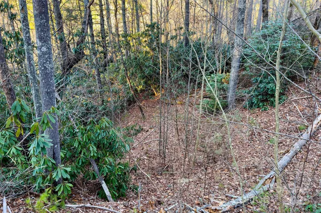 a backyard of a house