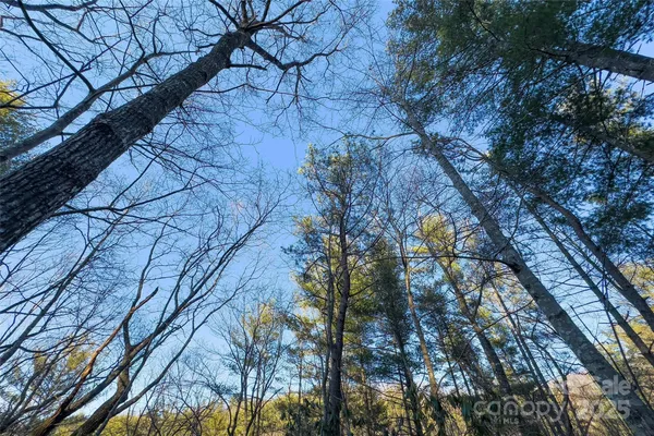 a backyard of a house with lots of trees