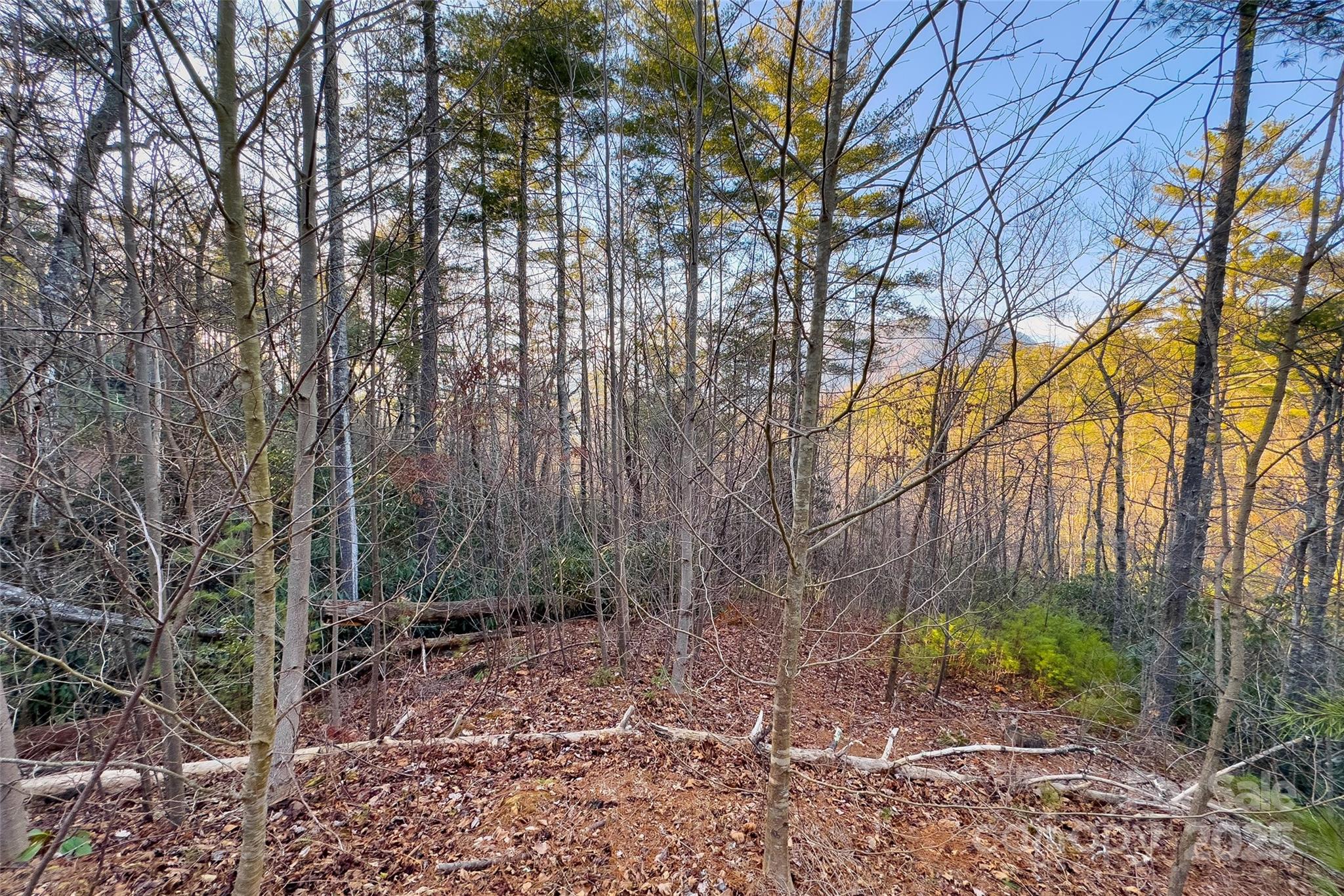 Lot #84 Little Fox Run Marion, NC 28752 - Photo 19 of 24 a backyard of a house with lots of green space