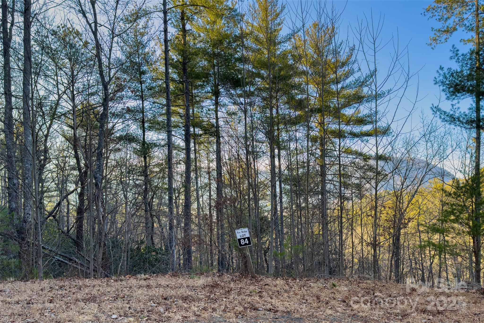 Lot #84 Little Fox Run Marion, NC 28752 - Photo 2 of 24 a view of outdoor space with lots of trees