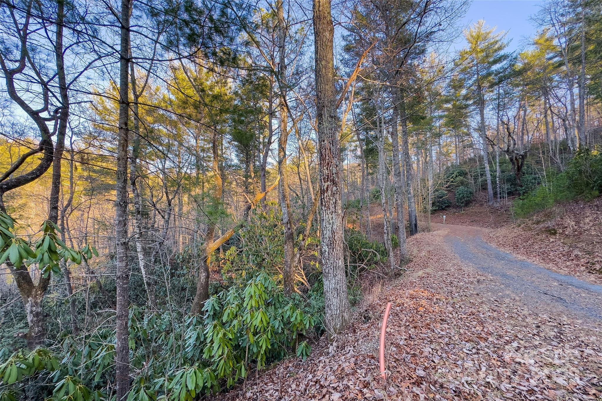 Lot #84 Little Fox Run Marion, NC 28752 - Photo 21 of 24 a backyard of a house with lots of green space