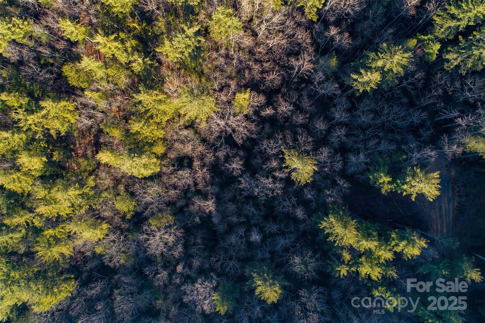 Lot #84 Little Fox Run Marion, NC 28752 - Photo 8 of 24
