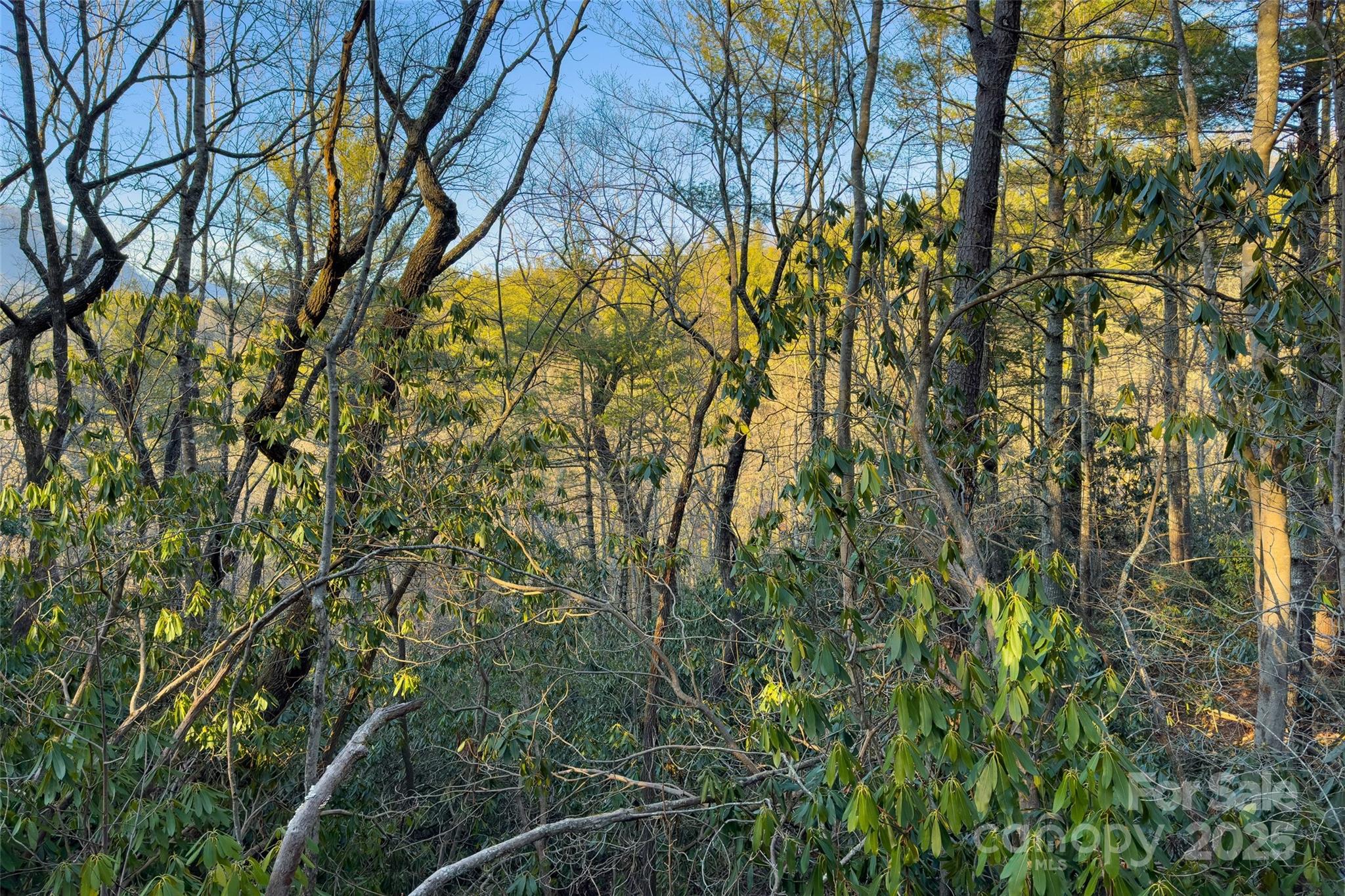 Lot #84 Little Fox Run Marion, NC 28752 - Photo 9 of 24 a view of a yard