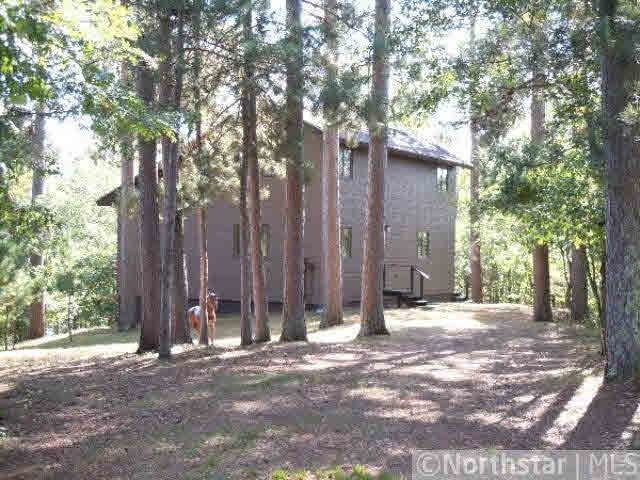 31123 Deer Lake Road Danbury, WI 54830 - Photo 3 of 16 Gallery Image 3