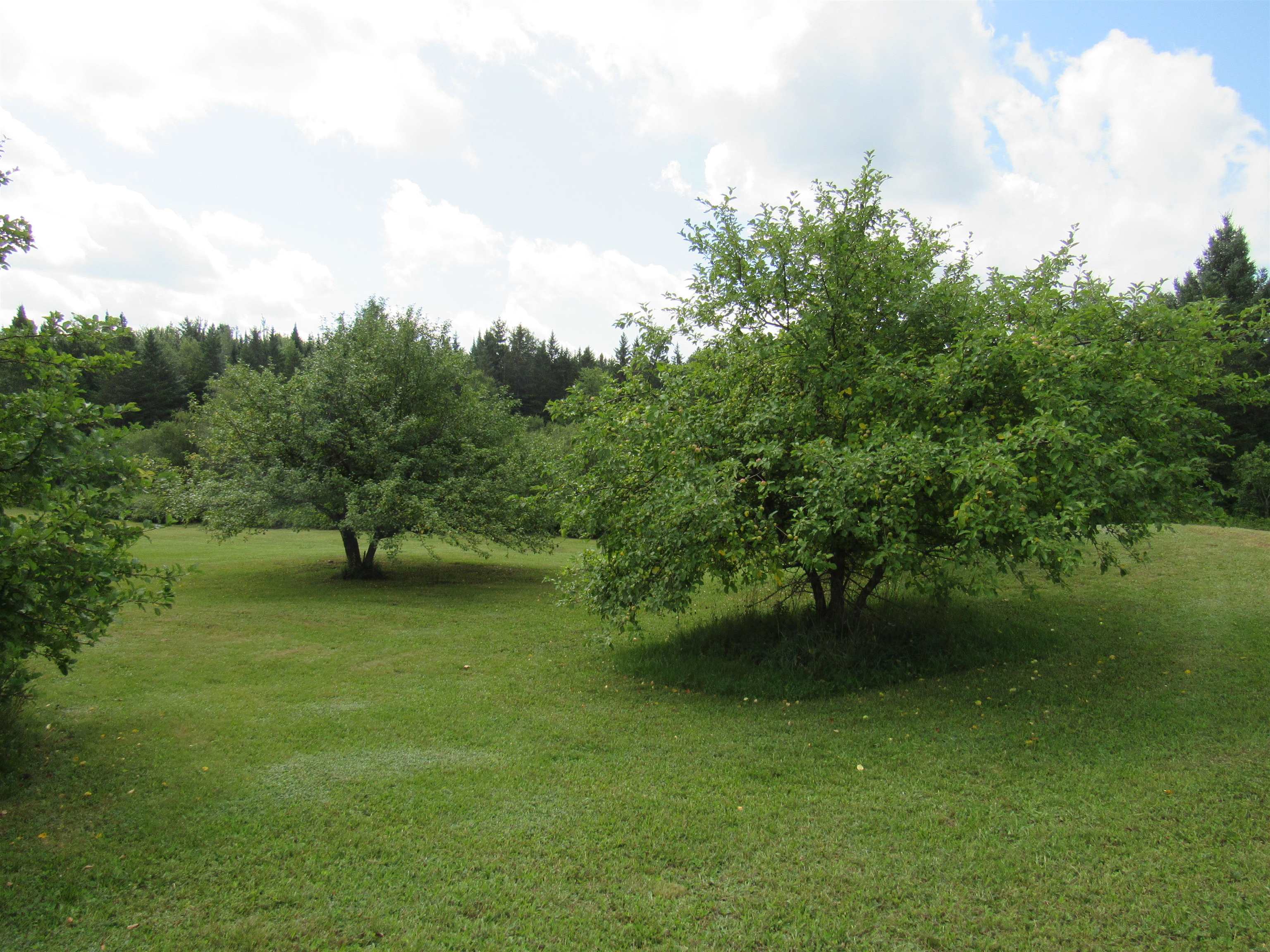 3091 Ticehurst Road Brownington, VT 05860 - Photo 9 of 25 Gallery Image 9