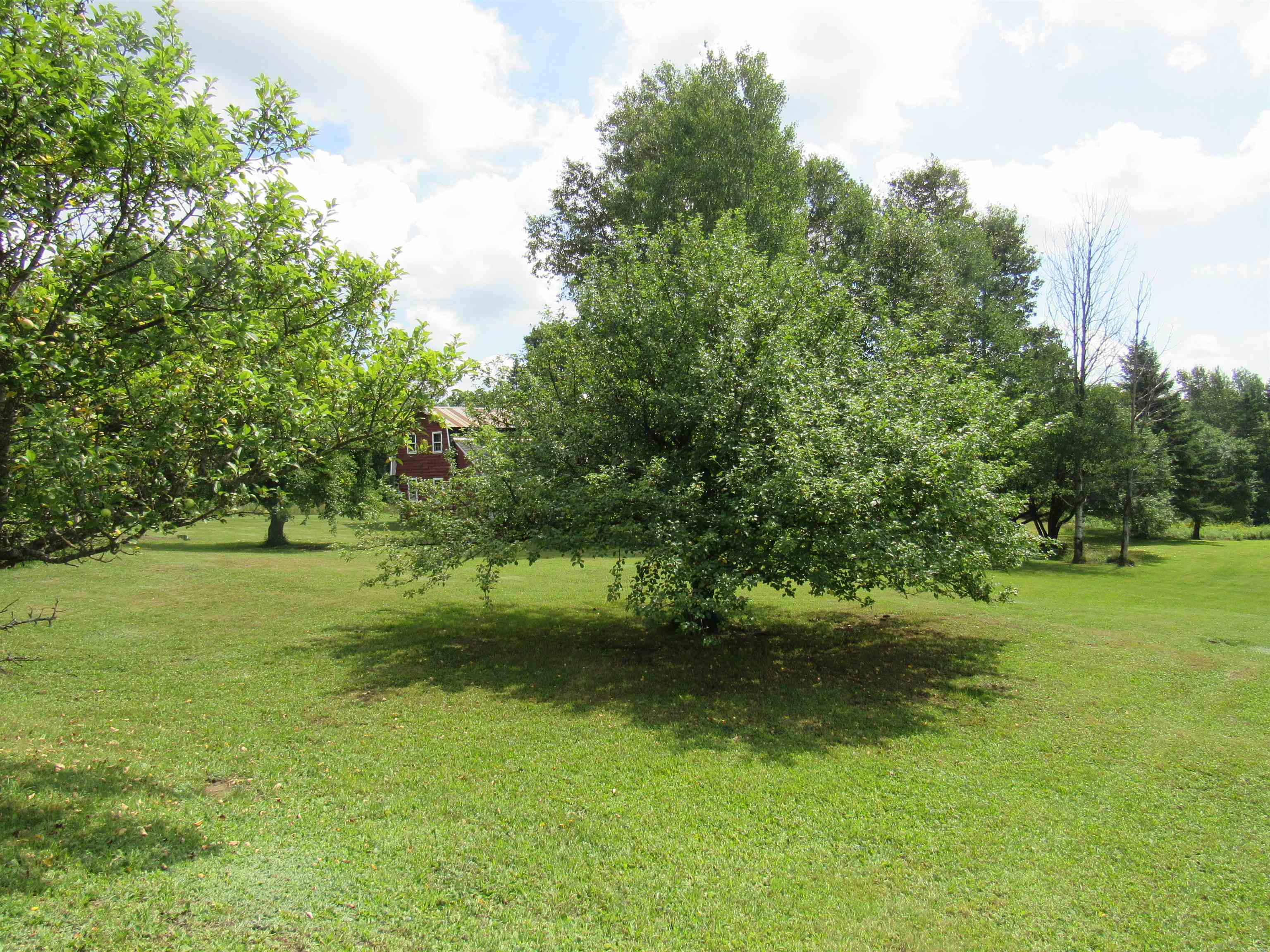 3091 Ticehurst Road Brownington, VT 05860 - Photo 10 of 25 Gallery Image 10