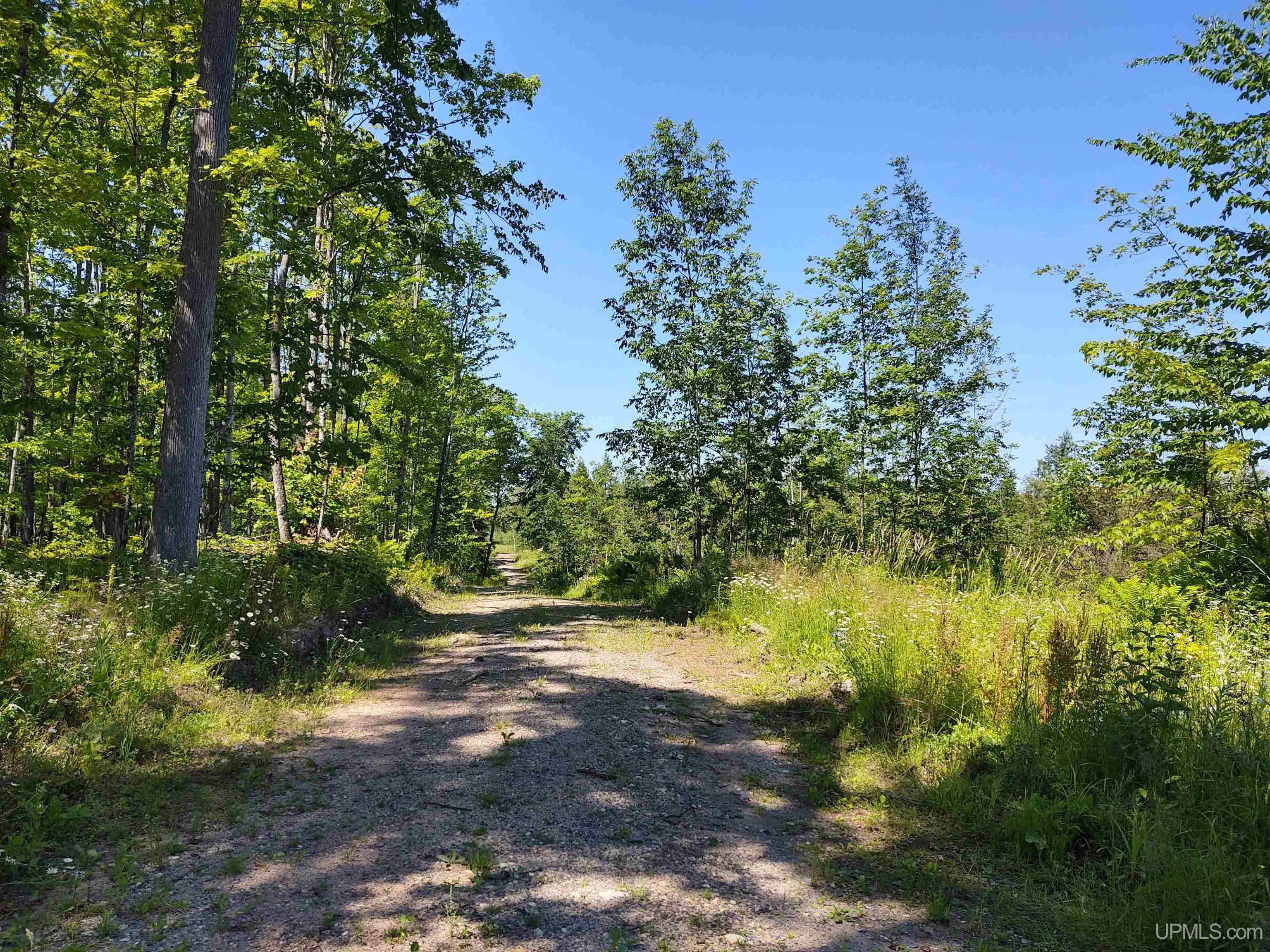 Tbd Moyer Road Baraga, MI 49908 - Photo 34 of 51 Gallery Image 34
