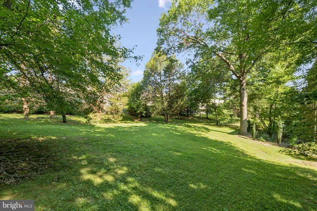 a view of yard with green space