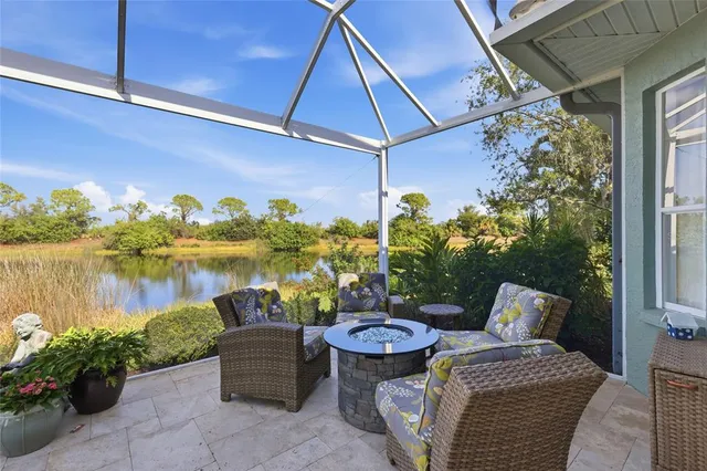 a view of a yard with plants and trees