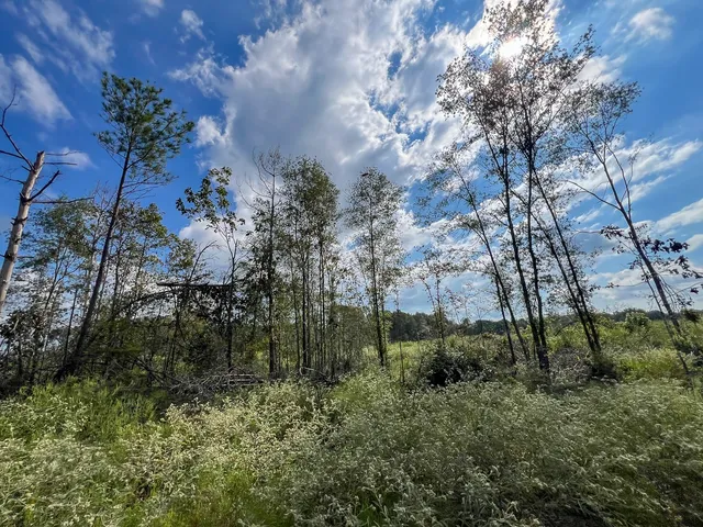 $1,540,425 | 1 Cr 4916 Timpson Tx 75975, Timpson, TX 75975