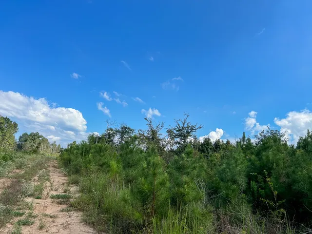 $1,540,425 | 1 Cr 4916 Timpson Tx 75975, Timpson, TX 75975