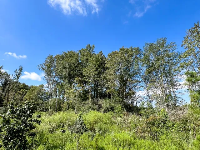 $1,540,425 | 1 Cr 4916 Timpson Tx 75975, Timpson, TX 75975