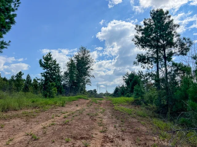 $1,540,425 | 1 Cr 4916 Timpson Tx 75975, Timpson, TX 75975