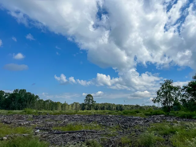 $1,540,425 | 1 Cr 4916 Timpson Tx 75975, Timpson, TX 75975