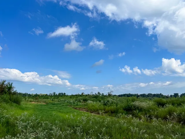 $1,540,425 | 1 Cr 4916 Timpson Tx 75975, Timpson, TX 75975