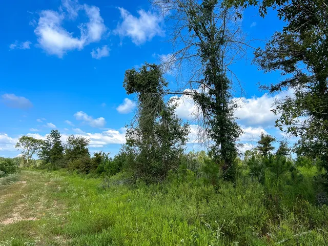 $1,540,425 | 1 Cr 4916 Timpson Tx 75975, Timpson, TX 75975