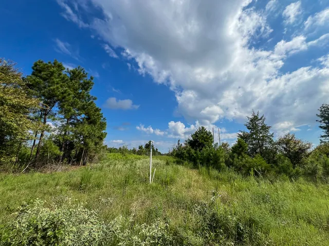 $1,540,425 | 1 Cr 4916 Timpson Tx 75975, Timpson, TX 75975