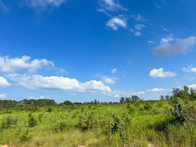 $1,540,425 | 1 Cr 4916 Timpson Tx 75975, Timpson, TX 75975