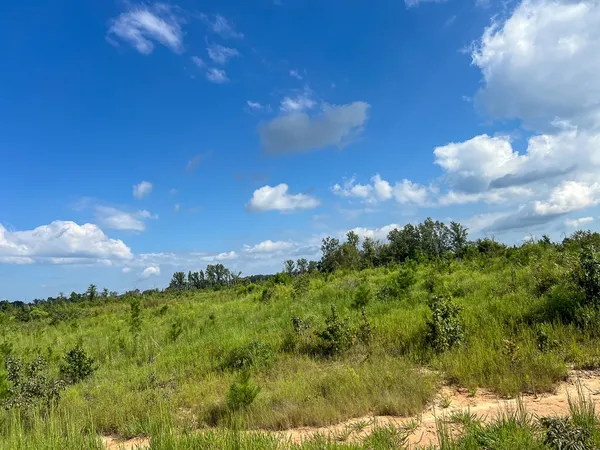 $1,463,580 | 1 Cr 4916 Timpson Tx 75975, Timpson, TX 75975