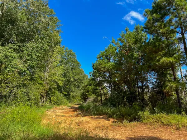 $1,463,580 | 1 Cr 4916 Timpson Tx 75975, Timpson, TX 75975