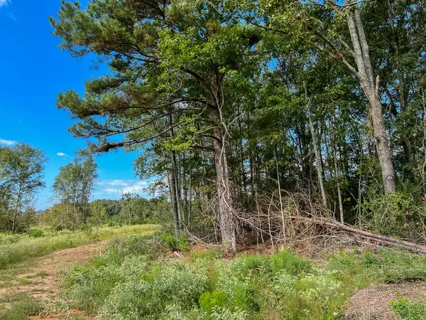 $1,463,580 | 1 Cr 4916 Timpson Tx 75975, Timpson, TX 75975