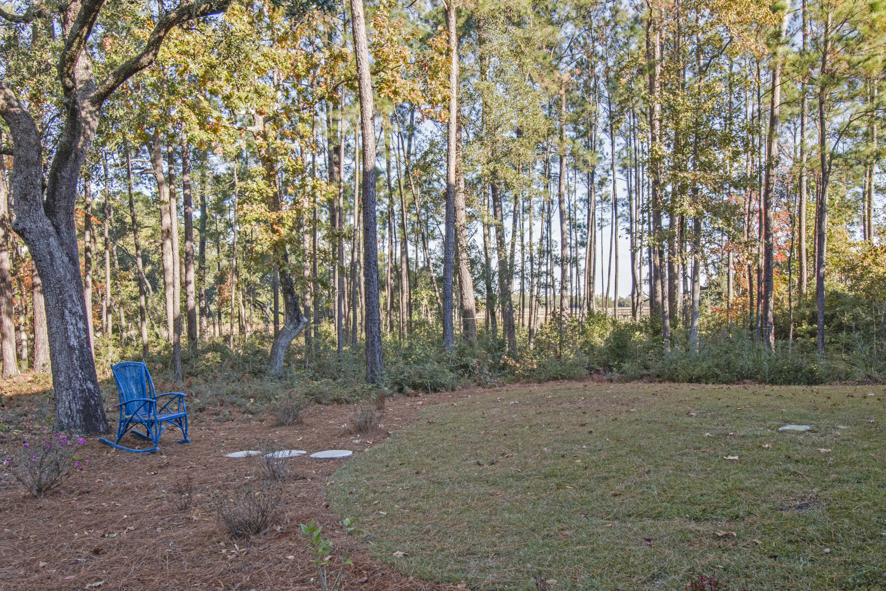 237 Slipper Shell Court Mount Pleasant, SC 29464 - Photo 4 of 27 6