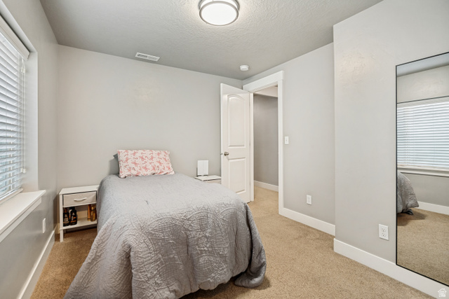 719 Shavey Lane Springville, UT 84663 - Photo 27 of 33